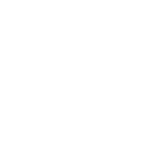 Turner